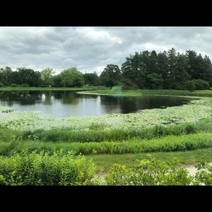 Meet your Posher, Grace